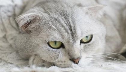 足协公布U20国家队名单 将参加中乙第一阶段联赛