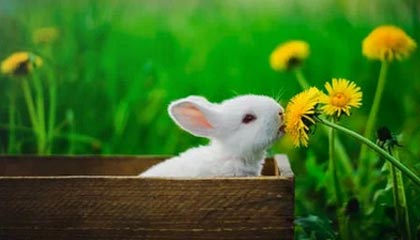 驻米兰总领馆提醒中国公民冬奥会期间注意出行安全