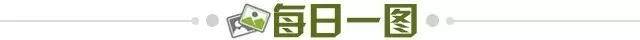 ded40b66-4b9c-4107-a0ea-1d7019e9f0f7.jpg@!img01